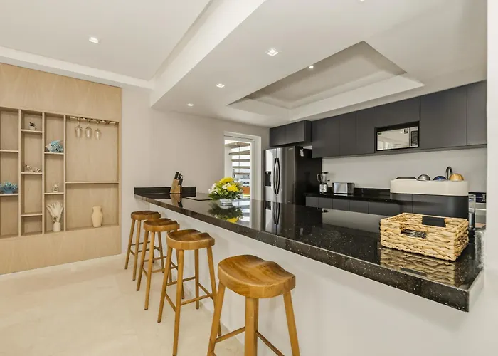Luxury Penthouse With Oasis Private Rooftop