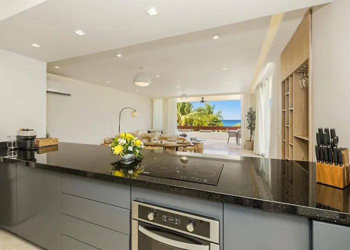 Apartment Luxury Penthouse With Oasis Private Rooftop
